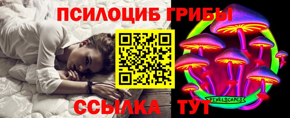 Псилоцибиновые грибы GOLDEN TEACHER Волгоград