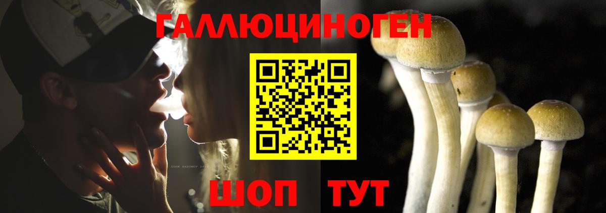 Галлюциногенные грибы Cubensis  Вход с VPN  Волгоград 
